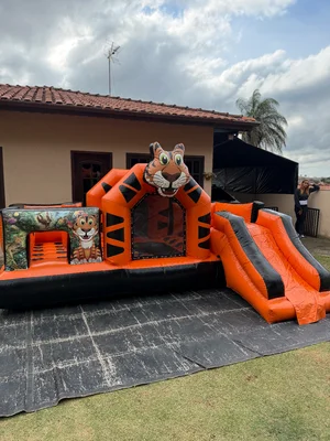 Multi park do tigre 