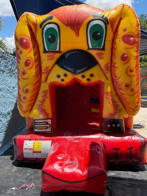 Mini tobogã cachorro 