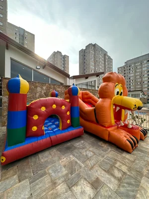 Foto 8